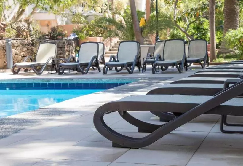 Otel Houm Nets  Adults Only