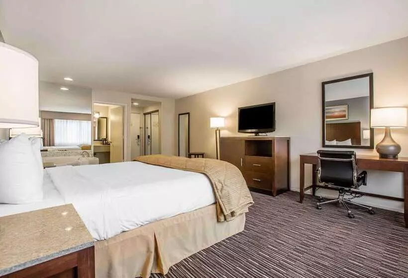 酒店 Quality Inn & Suites Hermosa Beach
