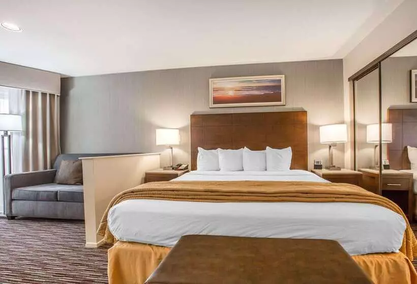 酒店 Quality Inn & Suites Hermosa Beach
