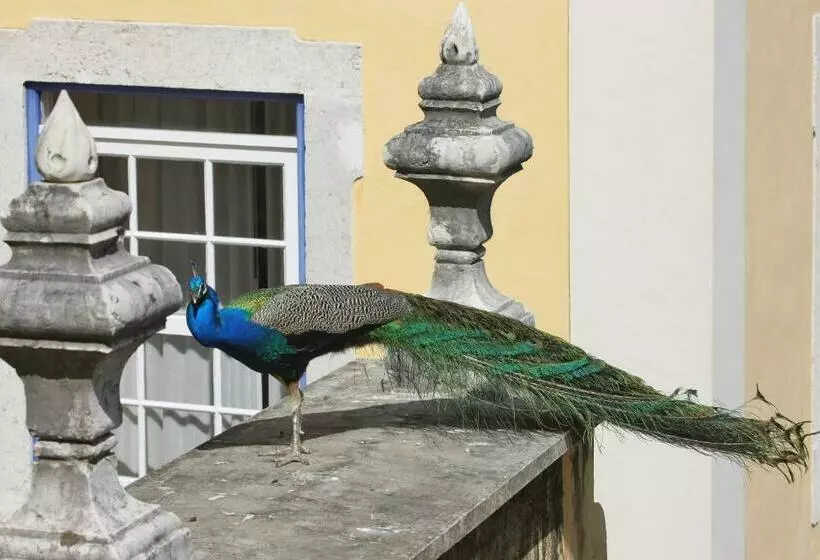 Hotel Solar Do Castelo  Lisbon Heritage Collection  Alfama