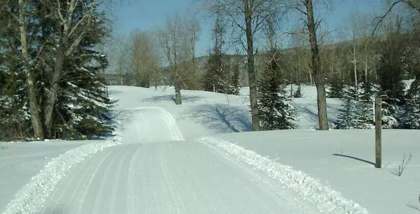 ホテル Spruce Hill Resort & Spa