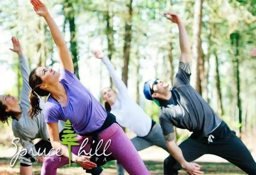 ホテル Spruce Hill Resort & Spa