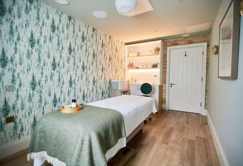 The Swan Hotel And Spa