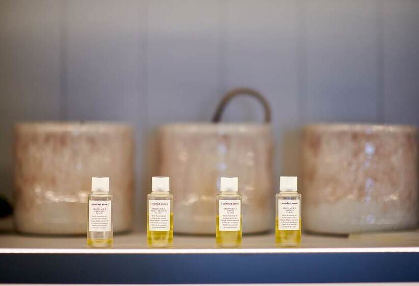 The Swan Hotel And Spa