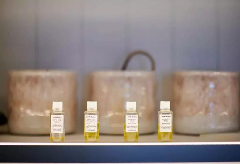 The Swan Hotel And Spa