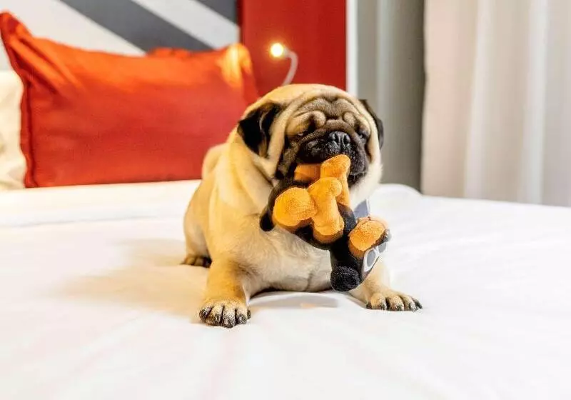 São Paulo Hotel Times Square Moema 2