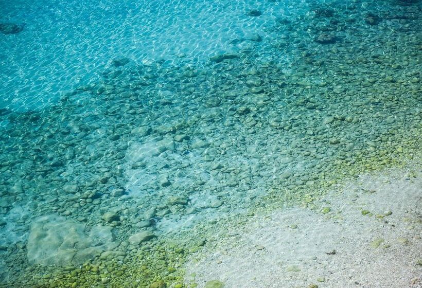 Пансион Cala Dogana Guest House