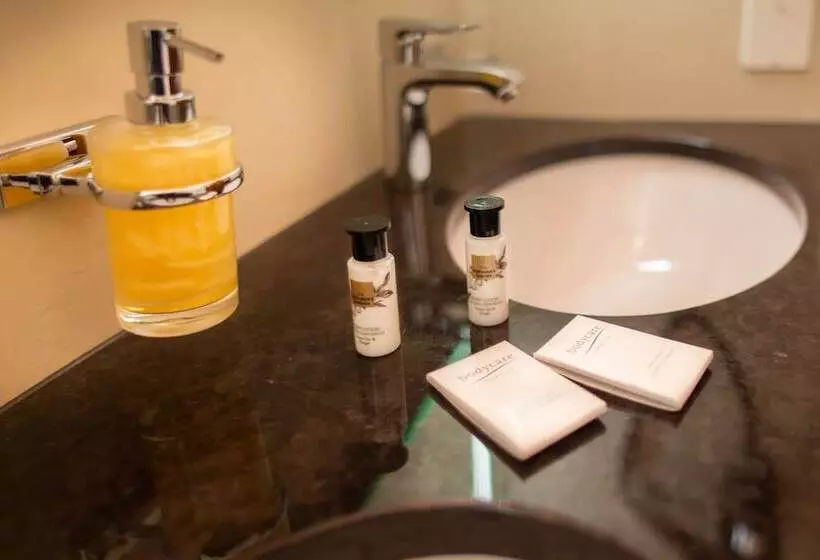 Hotell The Christiania Mountain Spa Resort