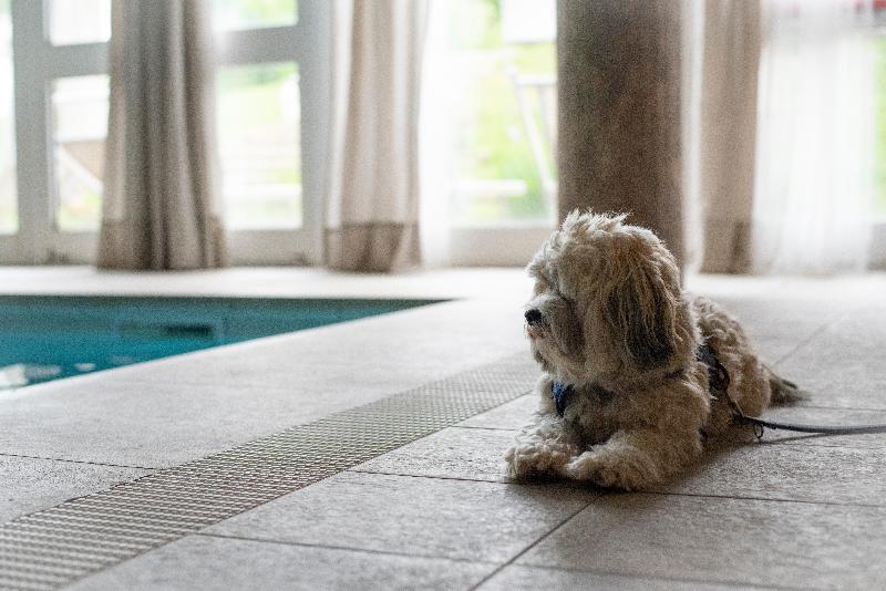 호텔 Demidoff Country Resort