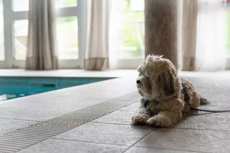 ホテル Demidoff Country Resort