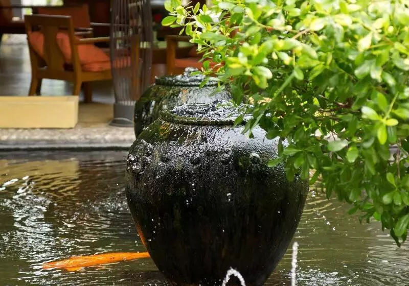 בית מלון כפרי Sunshine Garden Resort