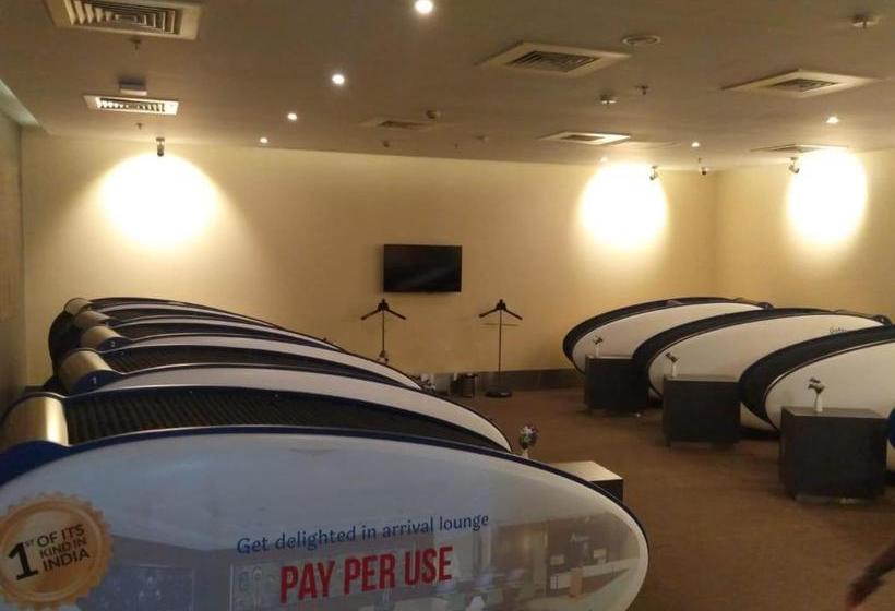 הוסטל Aviserv Lounge