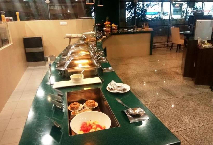 הוסטל Aviserv Lounge