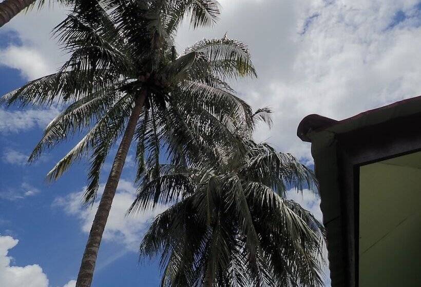 ホテル Lemonia Holiday Resort