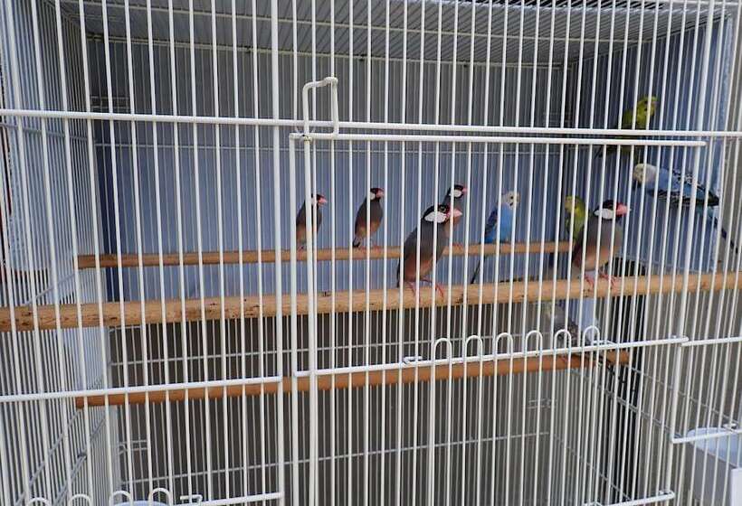 ホテル Lemonia Holiday Resort