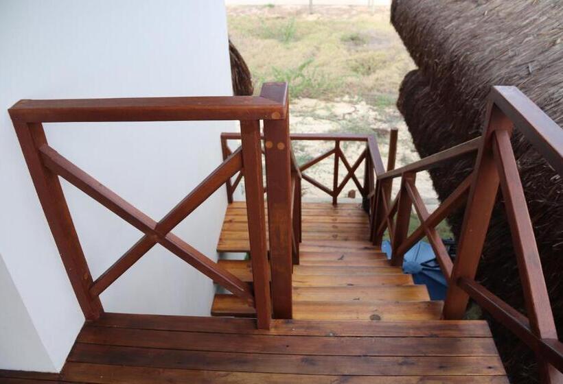 ペンション Villa Namú Beach House Suites