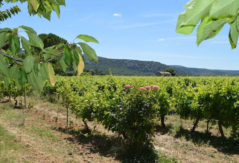 Gite On A Quiet Property, Through A Wine Garden Surrounding