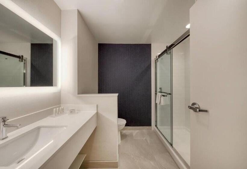 ホテル Fairfield Inn & Suites By Marriott Charlotte Belmont