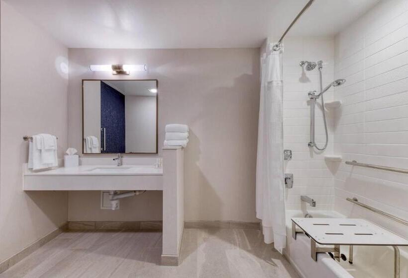 ホテル Fairfield Inn & Suites By Marriott Charlotte Belmont