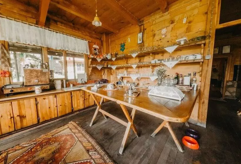 ホテル Kuspuni Dag Evi
