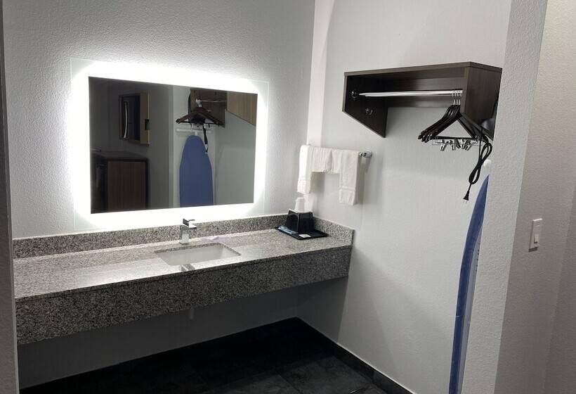 汽车旅馆  Palace Inn Crosby