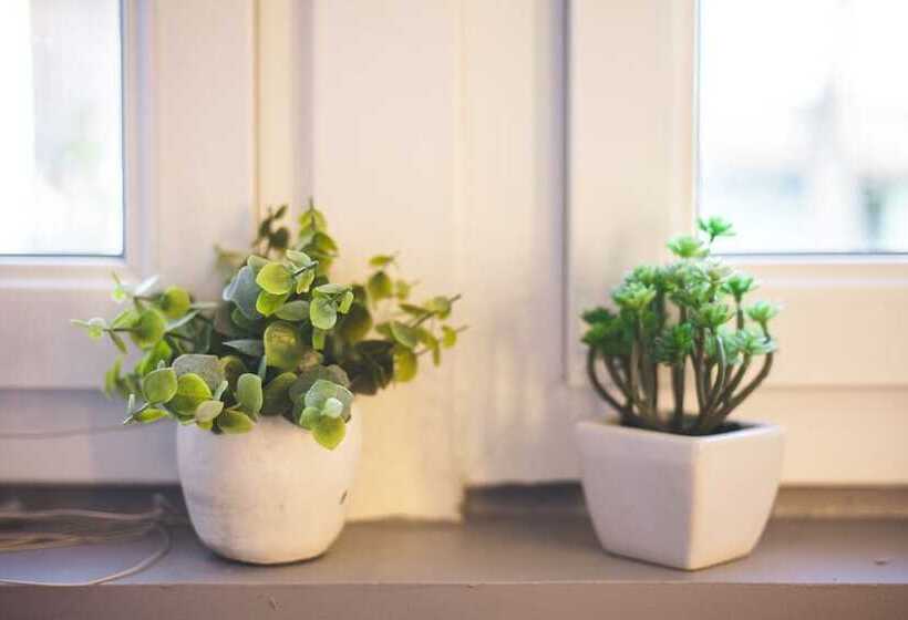 膳宿费 Au Bien Venu