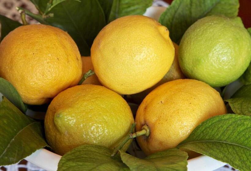 פנסיון Casa Madda