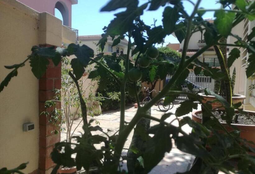 פנסיון Casa Madda