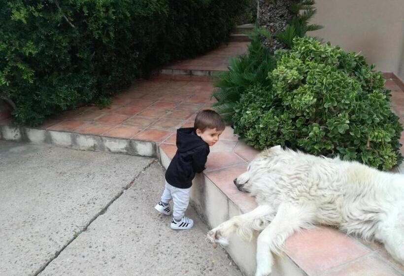 פנסיון Casa Madda