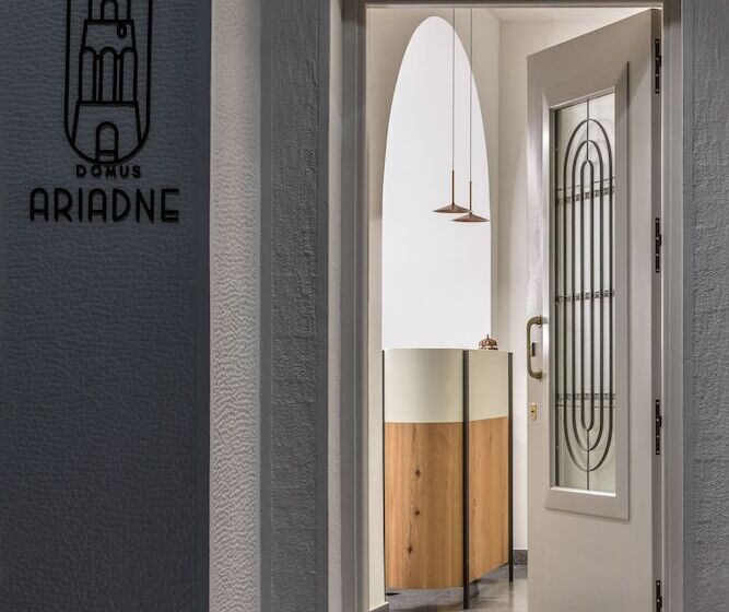 膳宿费 Domus Ariadne