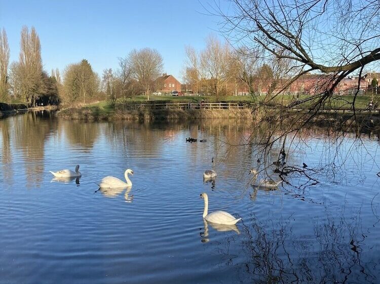 إقامة 3 Bed Broomfield Road Newport Shropshire