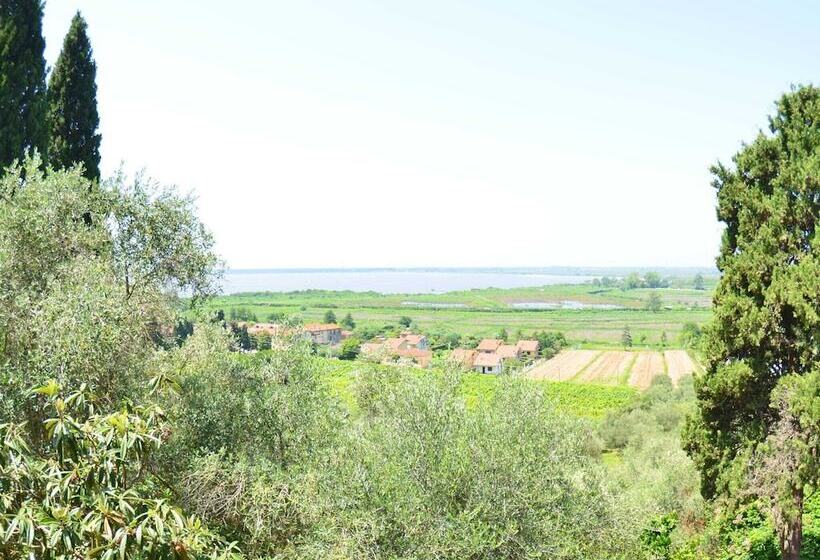 House Overlooking The Lake, In A Hilly Position