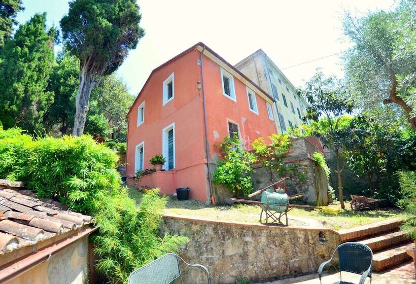 House Overlooking The Lake, In A Hilly Position