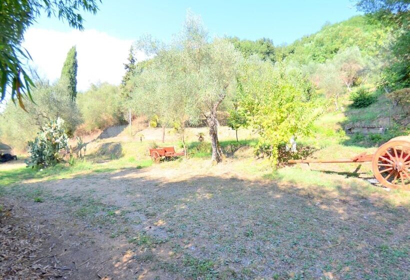 House Overlooking The Lake, In A Hilly Position