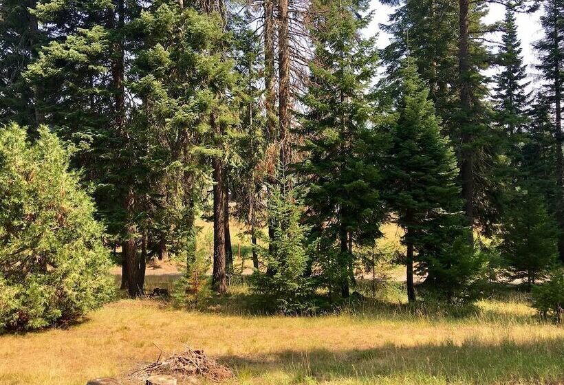 Whispering Pines Cabin Retreat