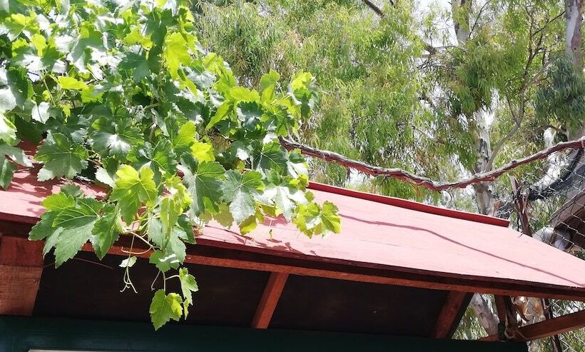 Отель Camping Valle Dei Templi