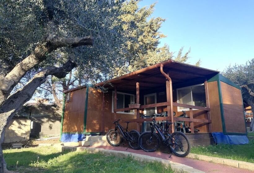 Отель Camping Valle Dei Templi