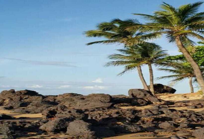 Otel Pousada Flor Do Caribe