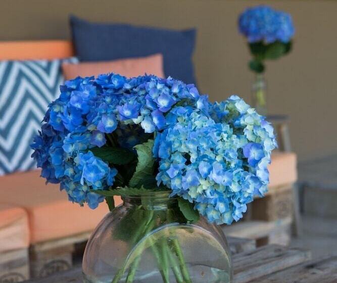 هتل روستایی Holacamp Camino