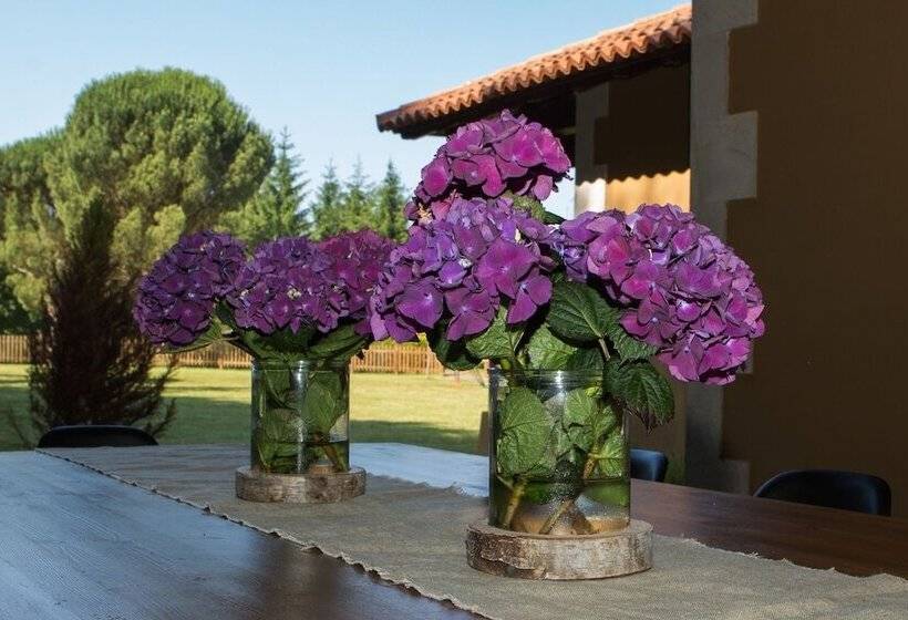 هتل روستایی Holacamp Camino