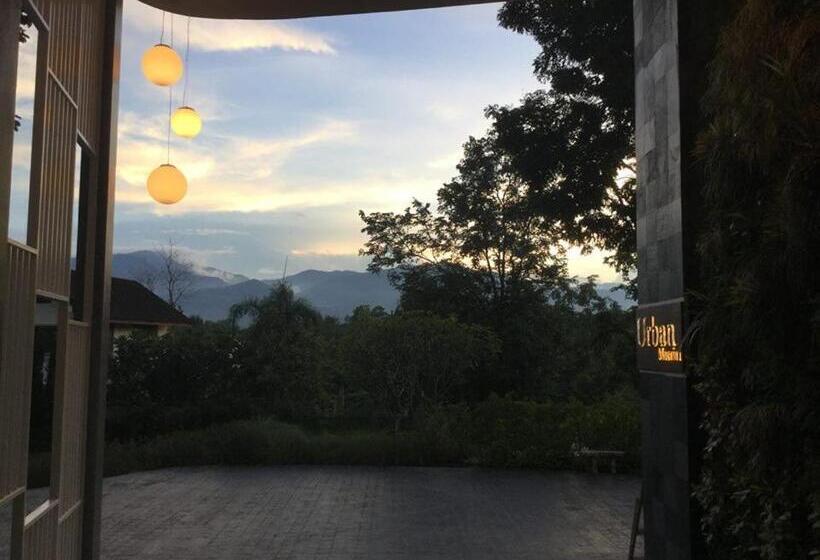 בית מלון כפרי Urban Maerim