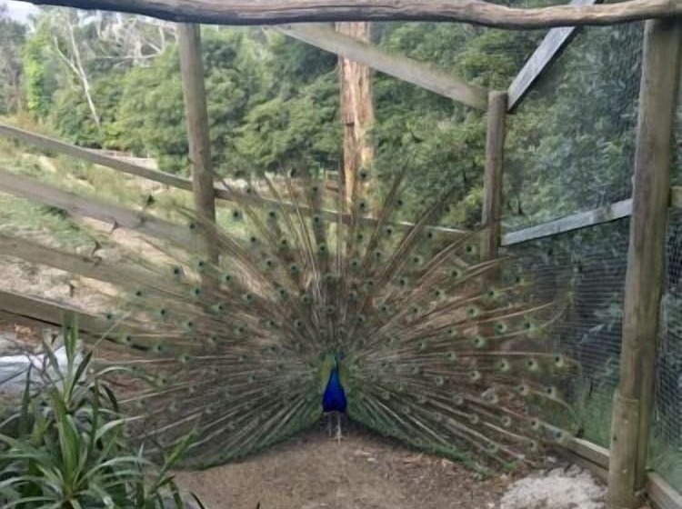 Pensión A Twist Of Willow