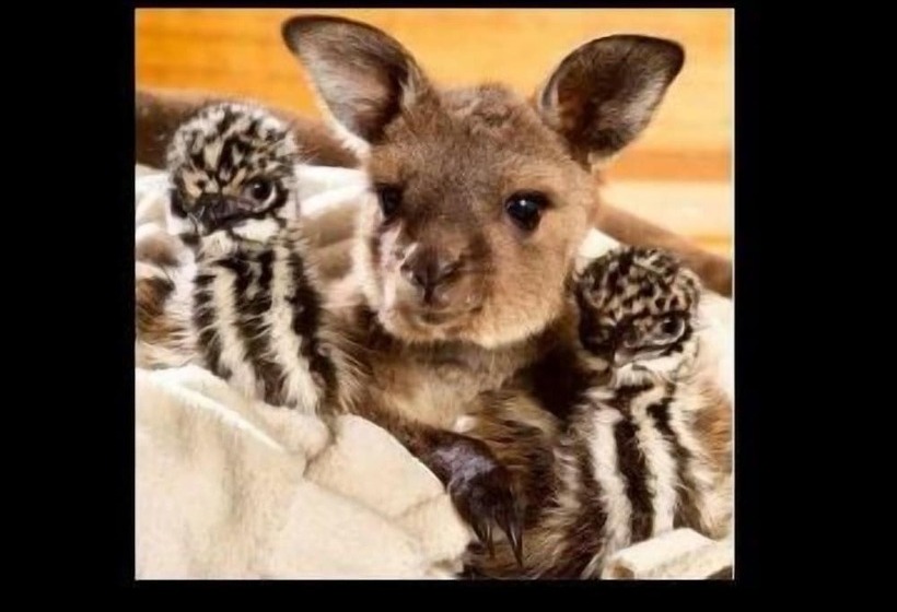 Pensión A Twist Of Willow