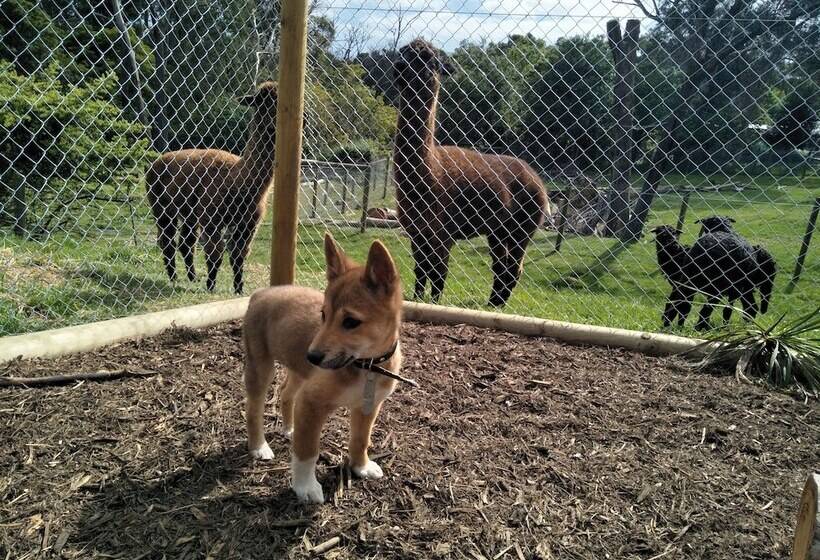 Pensión A Twist Of Willow