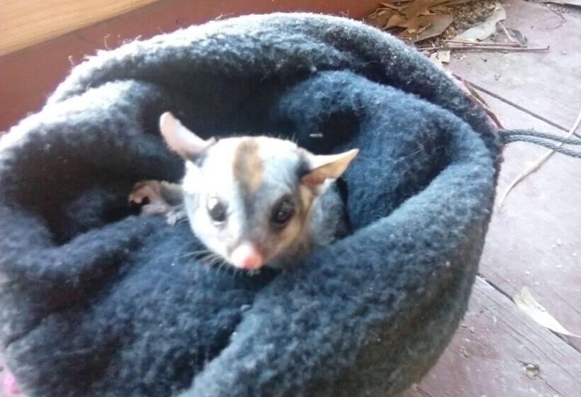 Pensión A Twist Of Willow