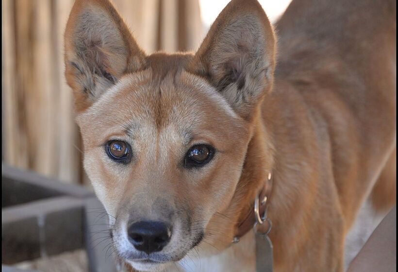 Pensión A Twist Of Willow