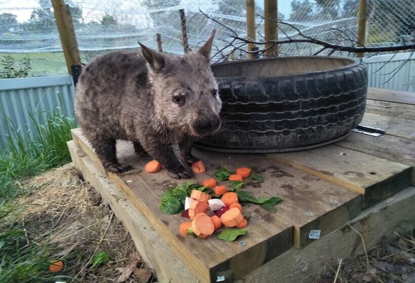 Pensión A Twist Of Willow
