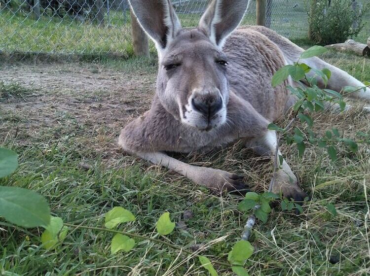 Pensión A Twist Of Willow