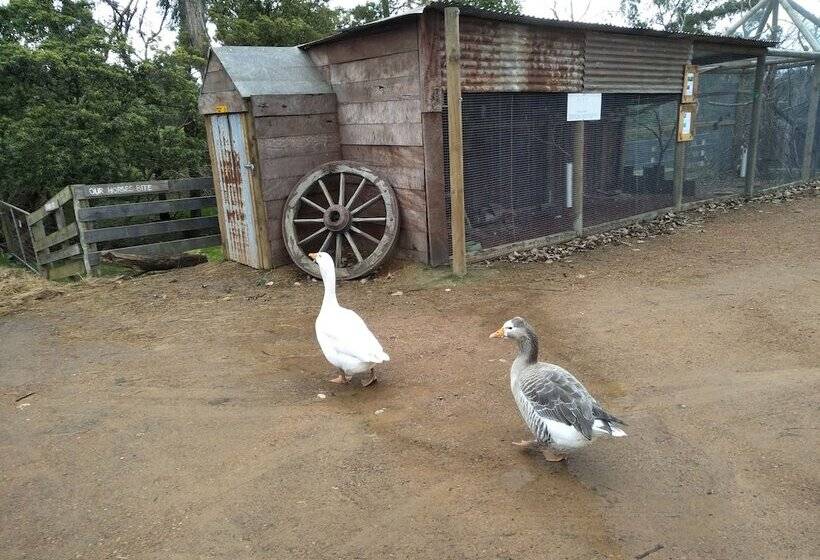 Pensión A Twist Of Willow