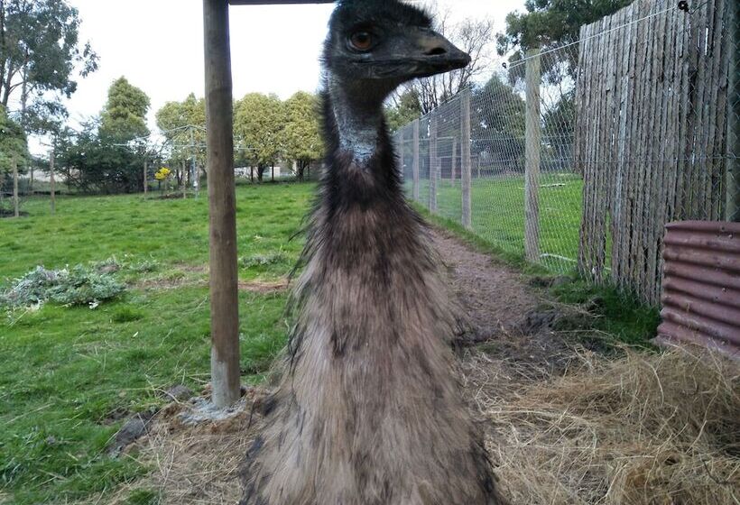 Pensión A Twist Of Willow